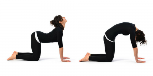 утренняя гимнастика комплекс упражнений для разминки спины