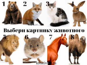 Тест Выбери картинку животного