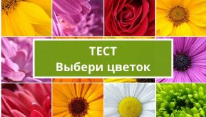Тесты по картинкам: выбери цветок