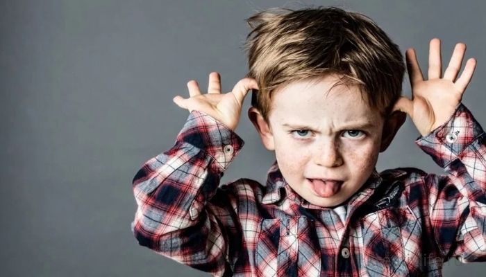Почему ребенок огрызается, грубит и хамит?