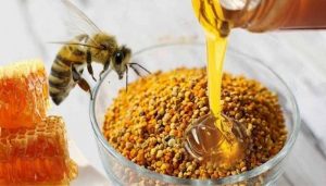 Свойства пчелиной пыльцы