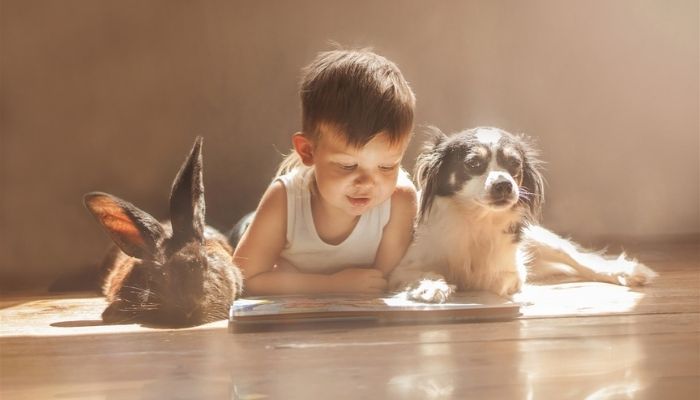 Ребенок и домашние животные