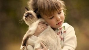 Ребенок и домашние животные
