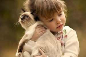 Ребенок и домашние животные
