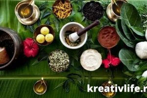 10 аюрведических трав, обладающих огромной пользой для здоровья