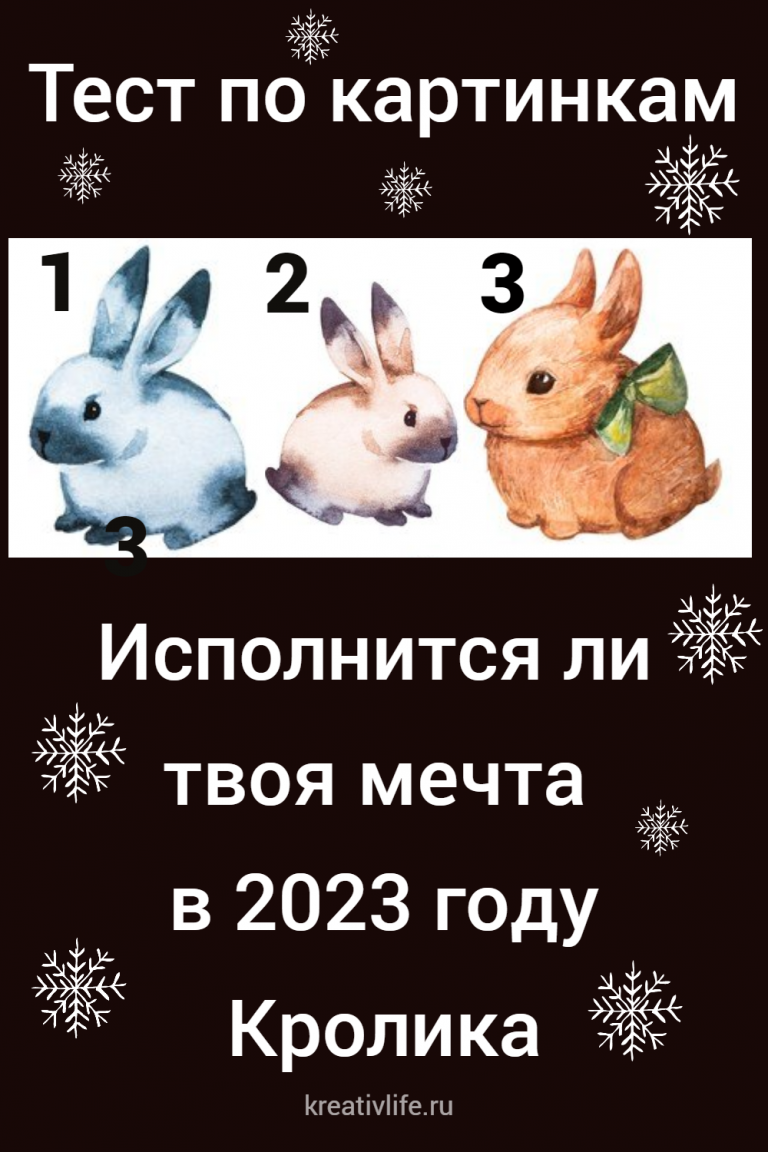 Тест предсказание по картинкам на 2023 год