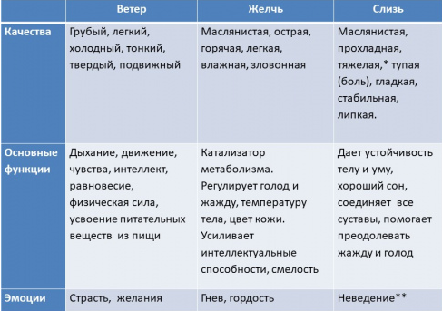 Специи в Аюрверде: свойства и показания к применению