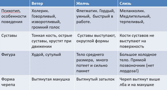 Специи в Аюрверде: свойства и показания к применению