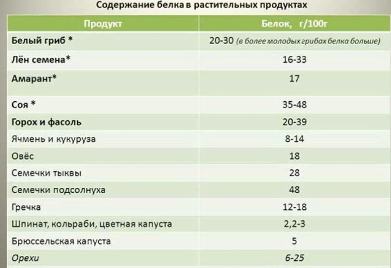 белок, продукты, питание