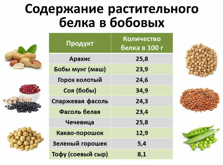 белок, продукты, питание