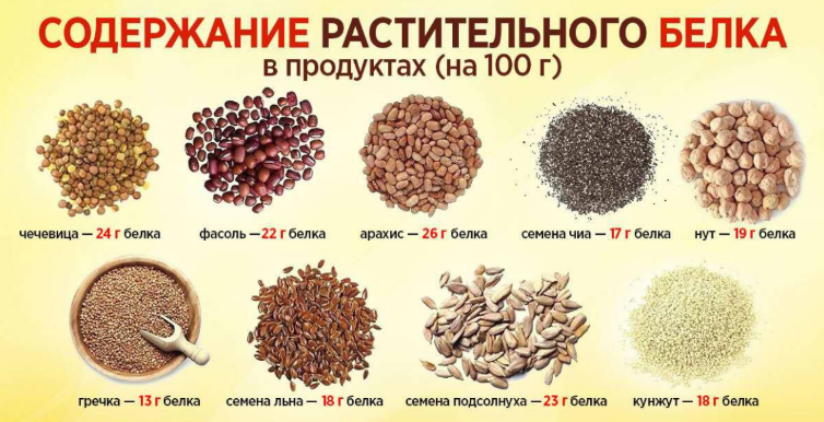 белок, продукты, питание