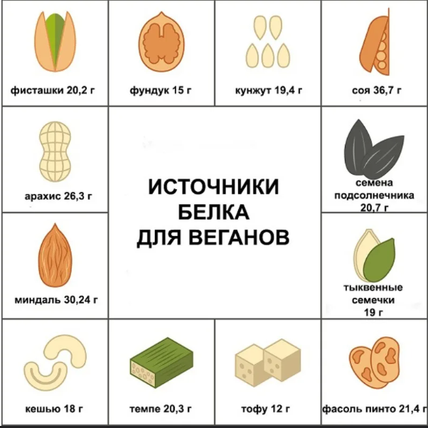 белок, продукты, питание