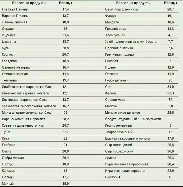 белок, продукты, питание