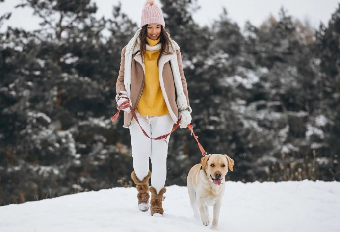 Зима, прогулка, девушка с собакой
