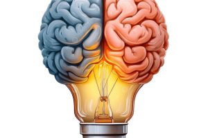 мозг, память, внимание