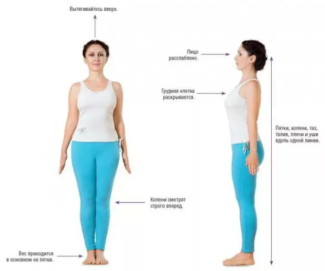 йога, асана, тадасана, поза горы 